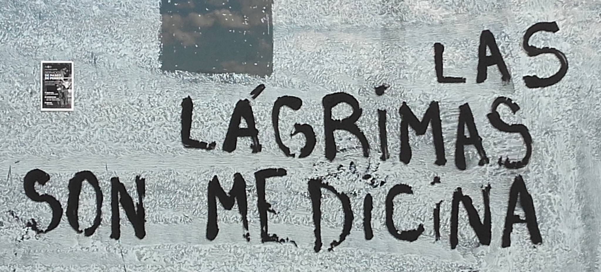 &mdash;LAS LAGRIMAS SON MEDICINA