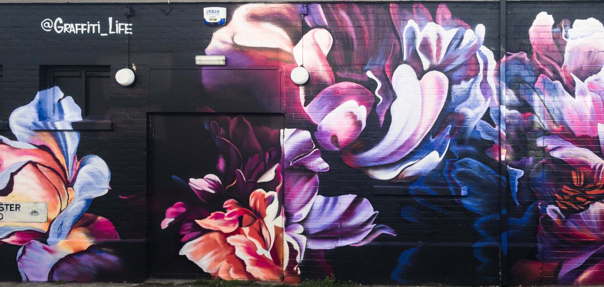 Sophie Mess&mdash;Pretty petals on the North Laine Brewhouse - made in association with North Laine Brewhouse