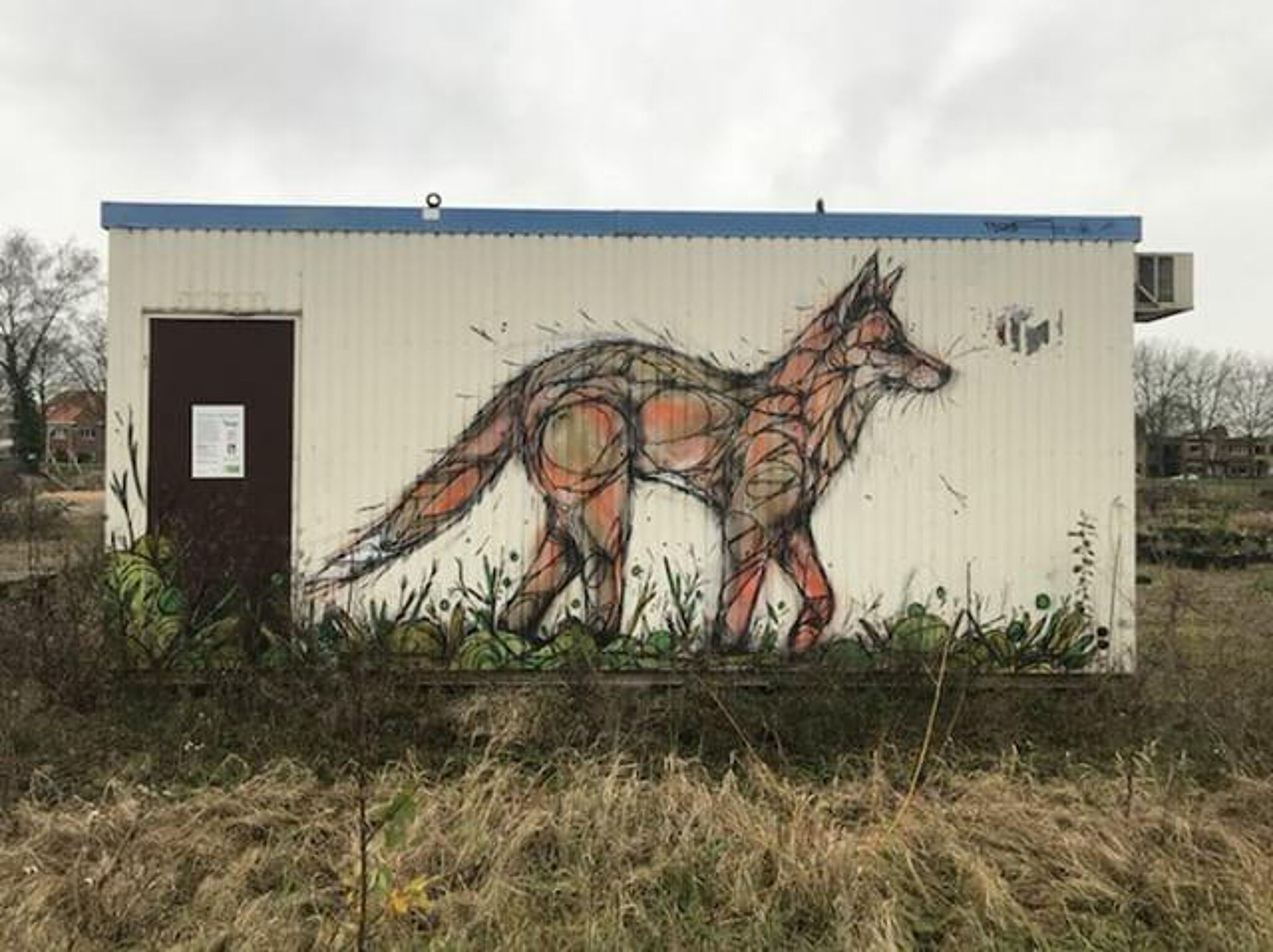 Dzia&mdash;Lonely Fox
