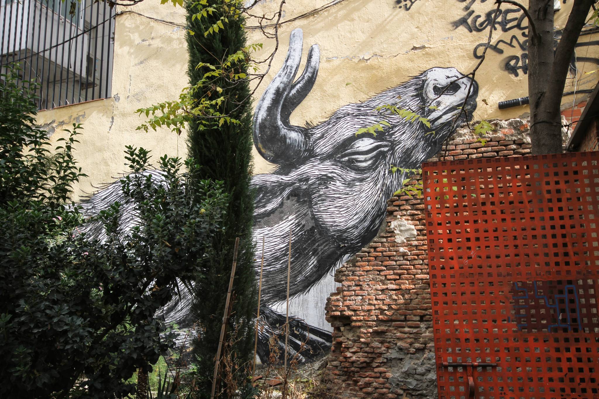 ROA&mdash;Pigs and Ox