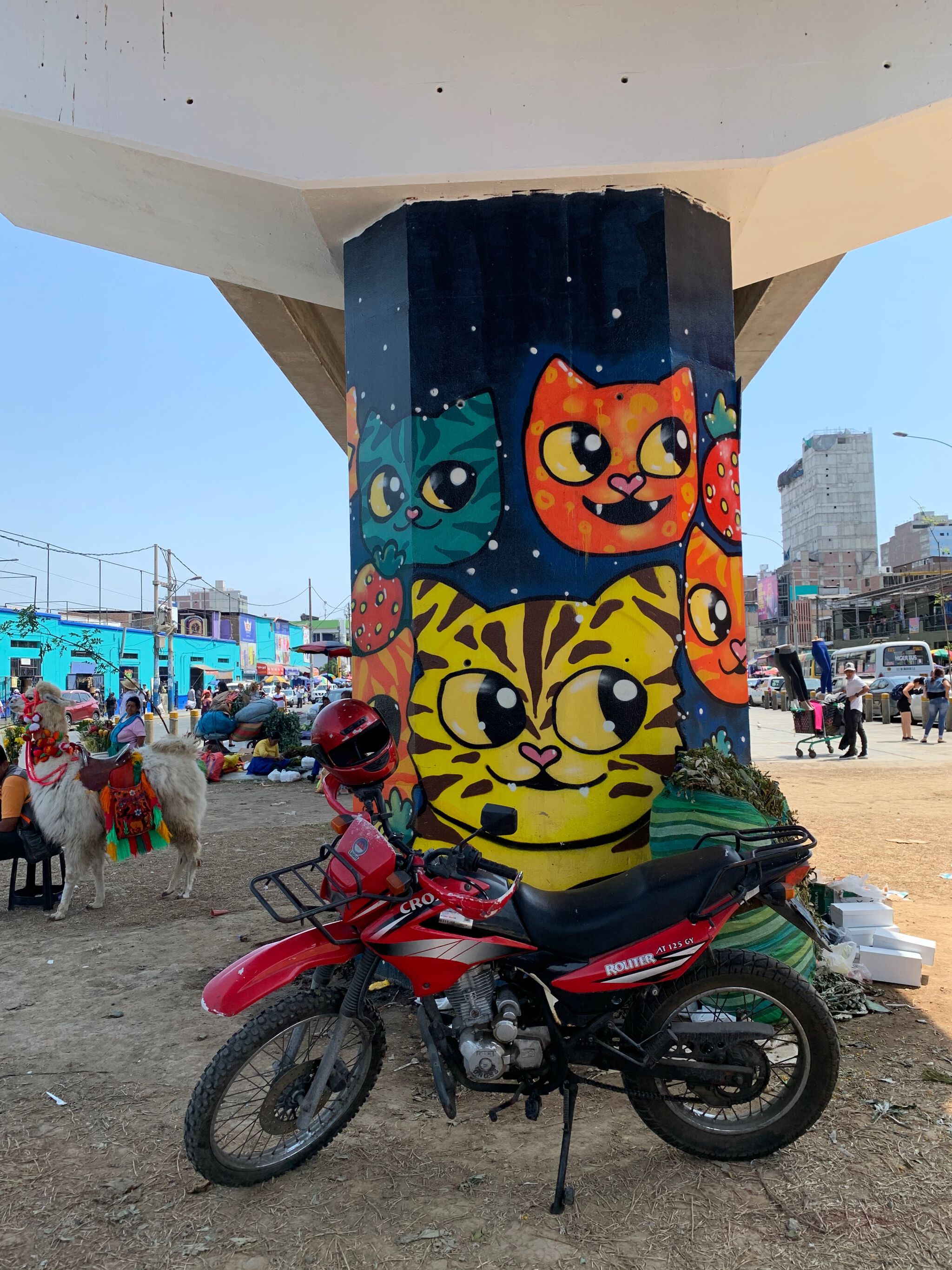 Meki&mdash;Cats