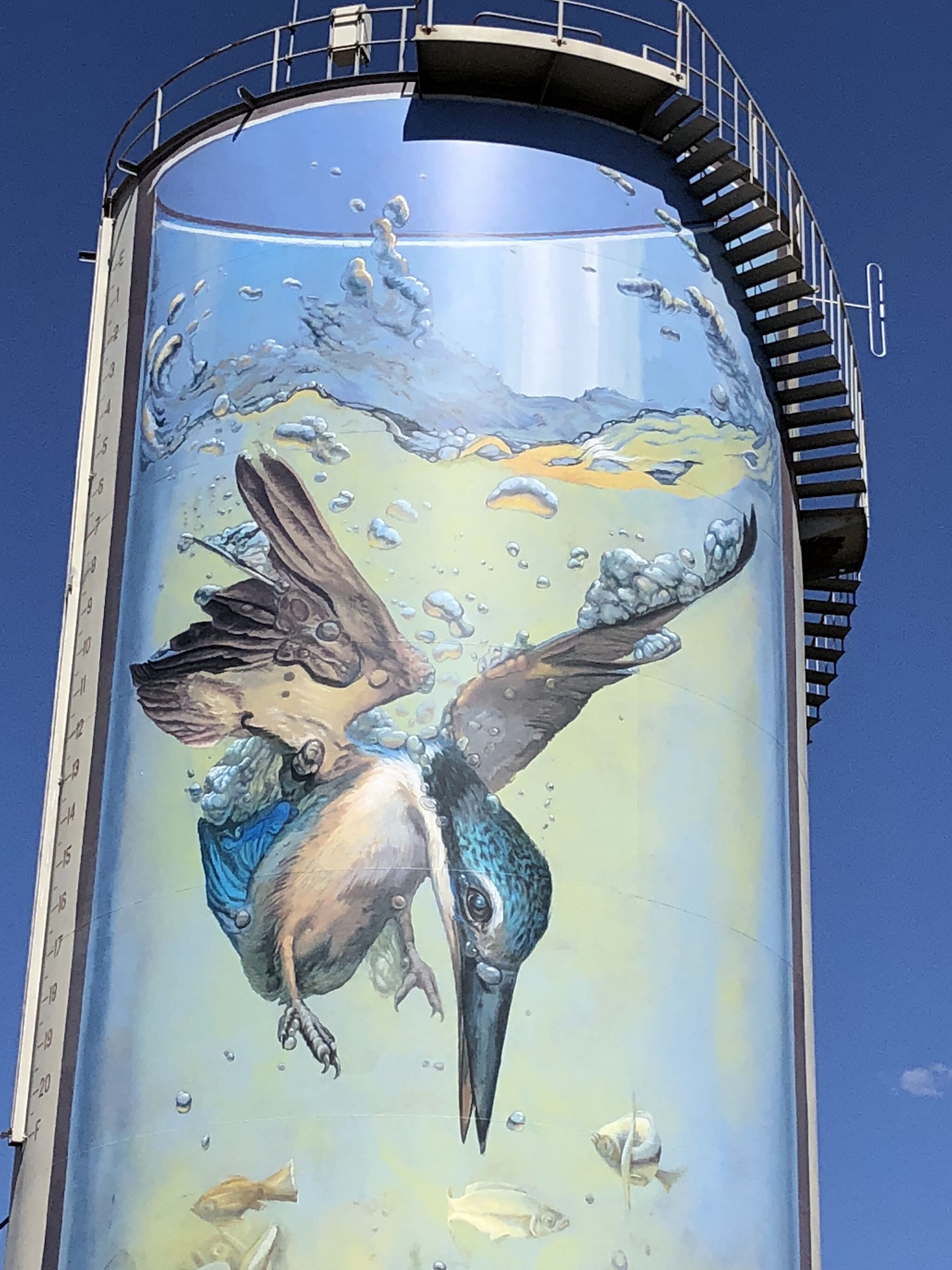 Jenny McCracken&mdash;Gulargambone Water Tower Art