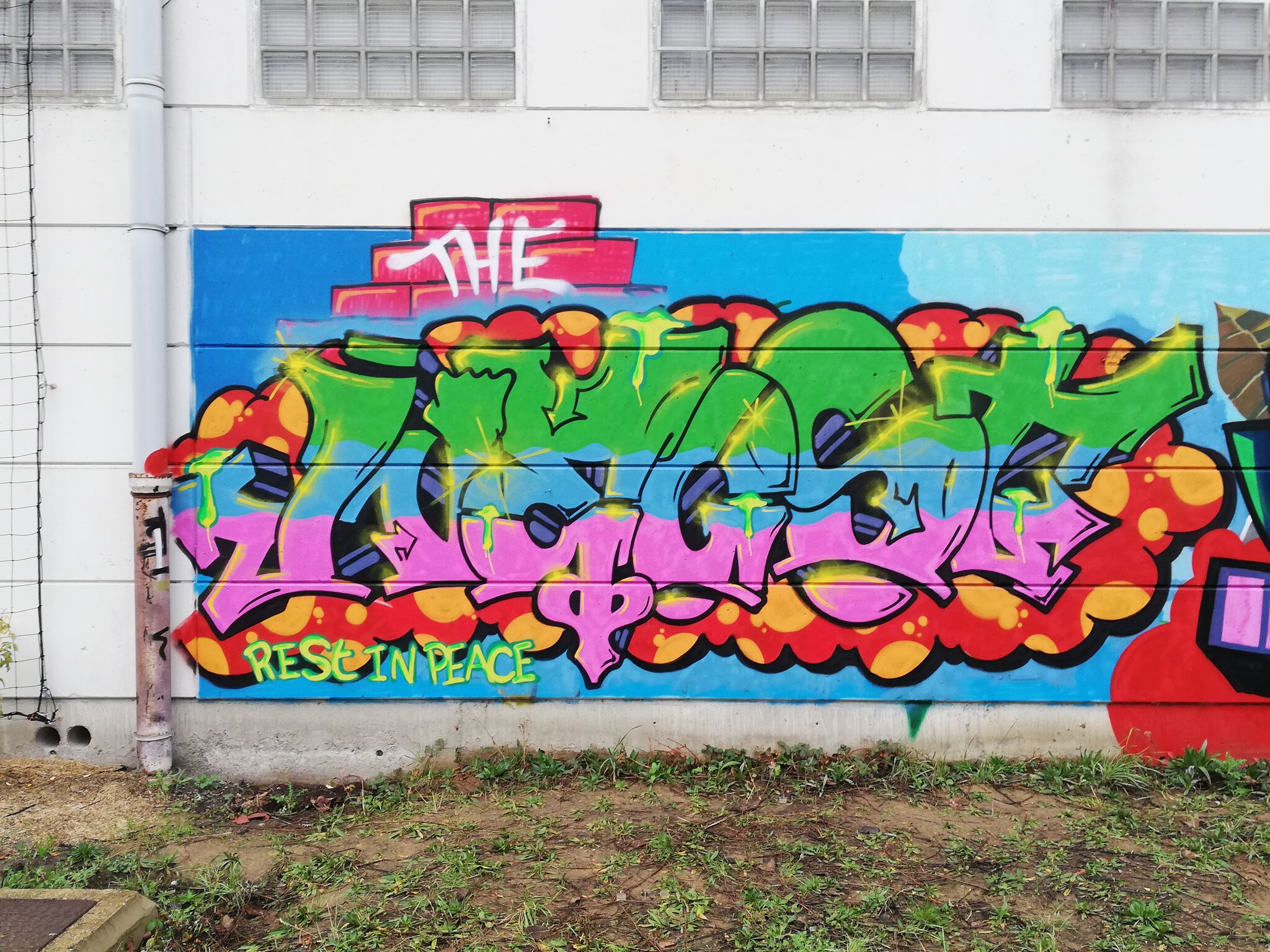 Dzia, Suarez Murals, Tuch &mdash;Douaneplein