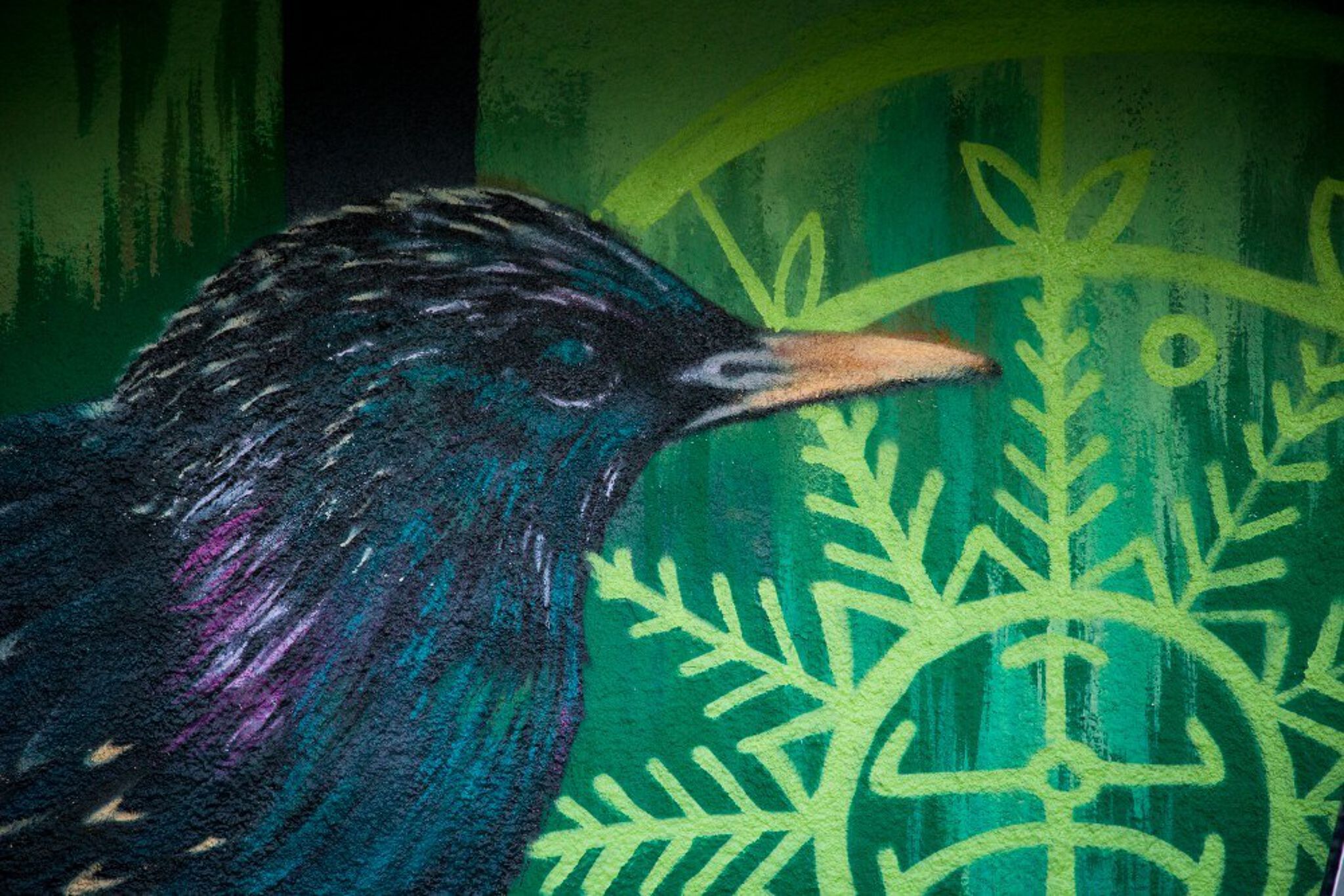 Faunagraphic&mdash;Habitat