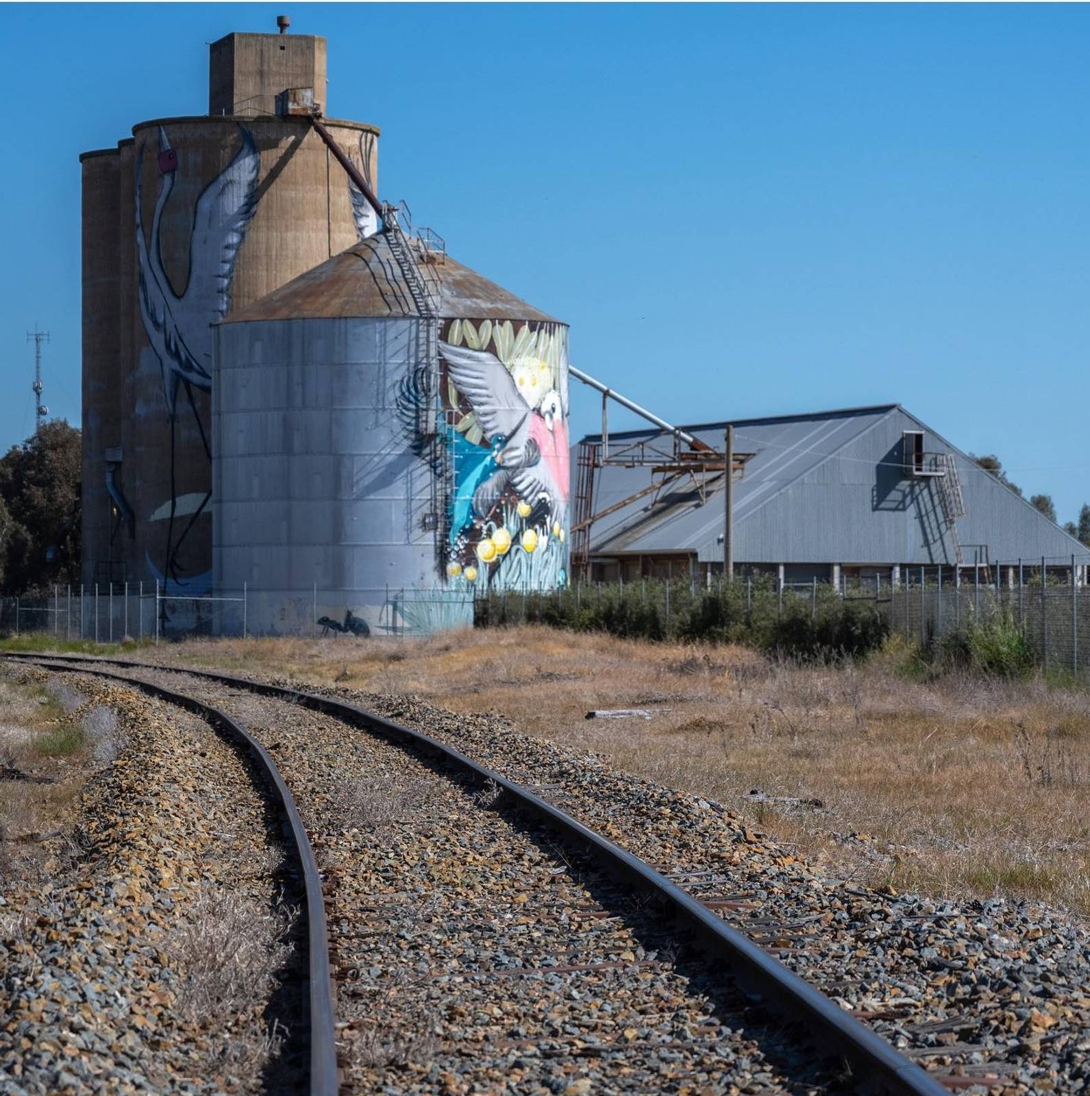 Sobrane&mdash;Tungamah Silo Art No. 2