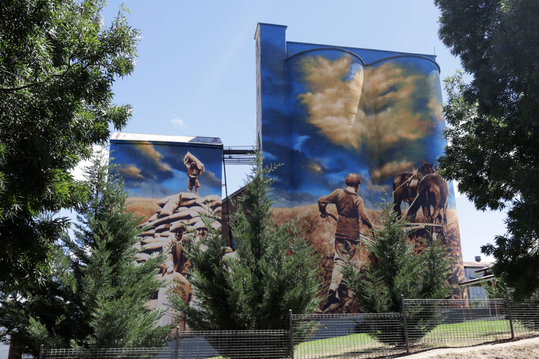 Heesco&mdash;Murrumburrah Mill Silo Art Stage 1