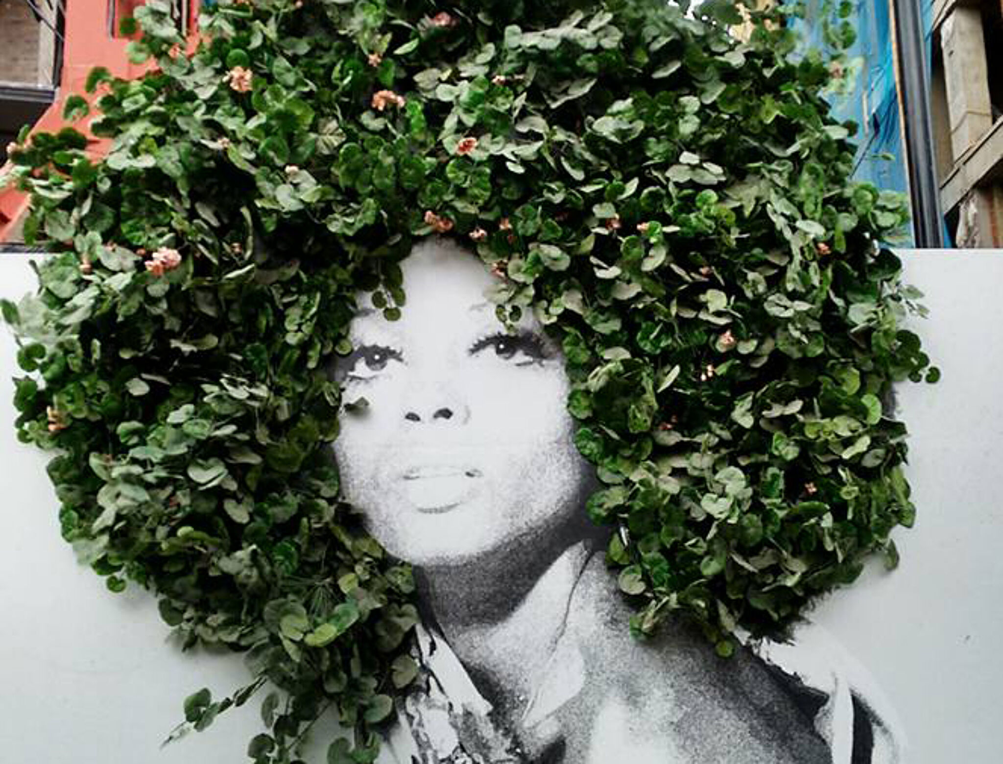 Unknown - Bogota&mdash;Woman with hair - Mujer con cabello