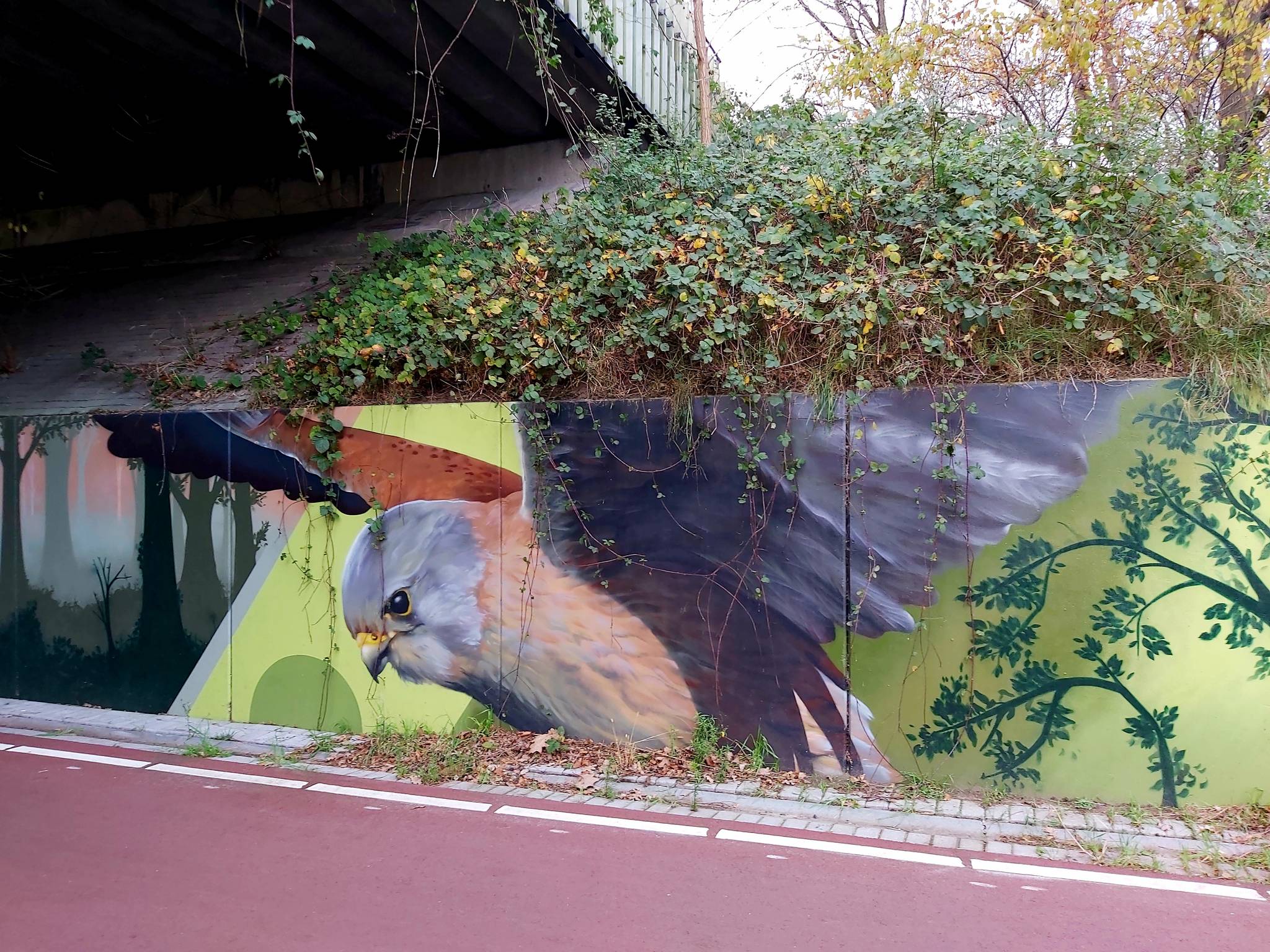 Graffitidier, Mervyn&mdash;undefined