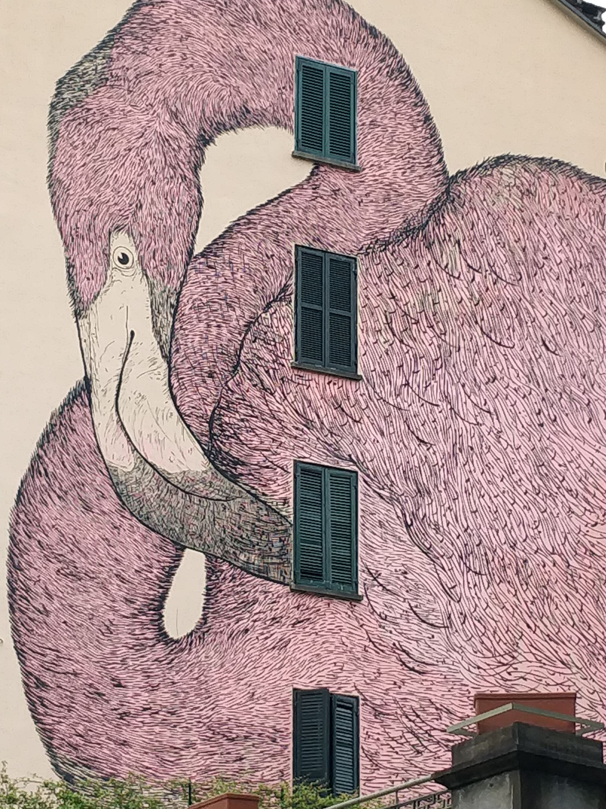 OKO&mdash;Flamingo