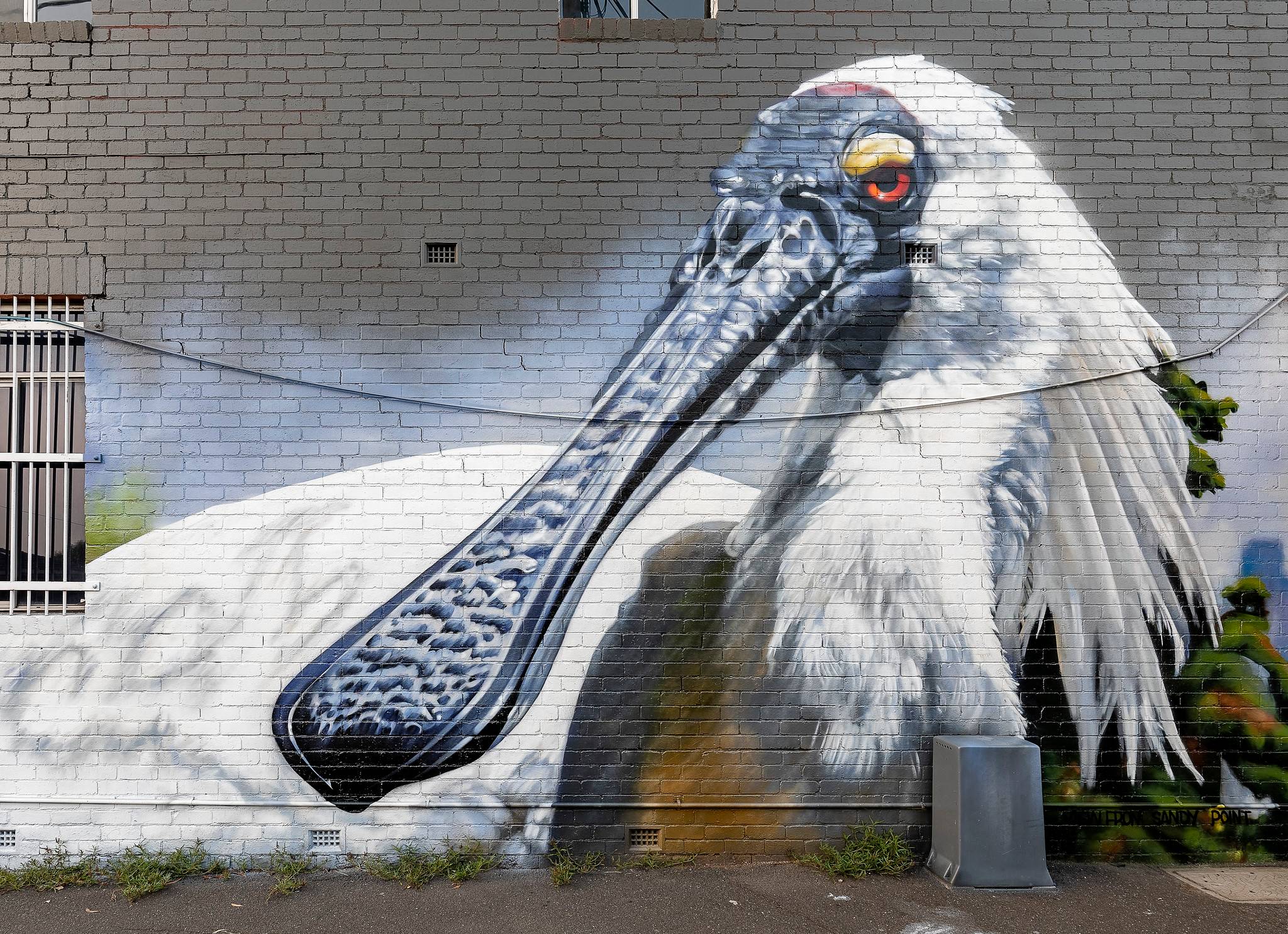 Dvate&mdash;Royal Spoonbill