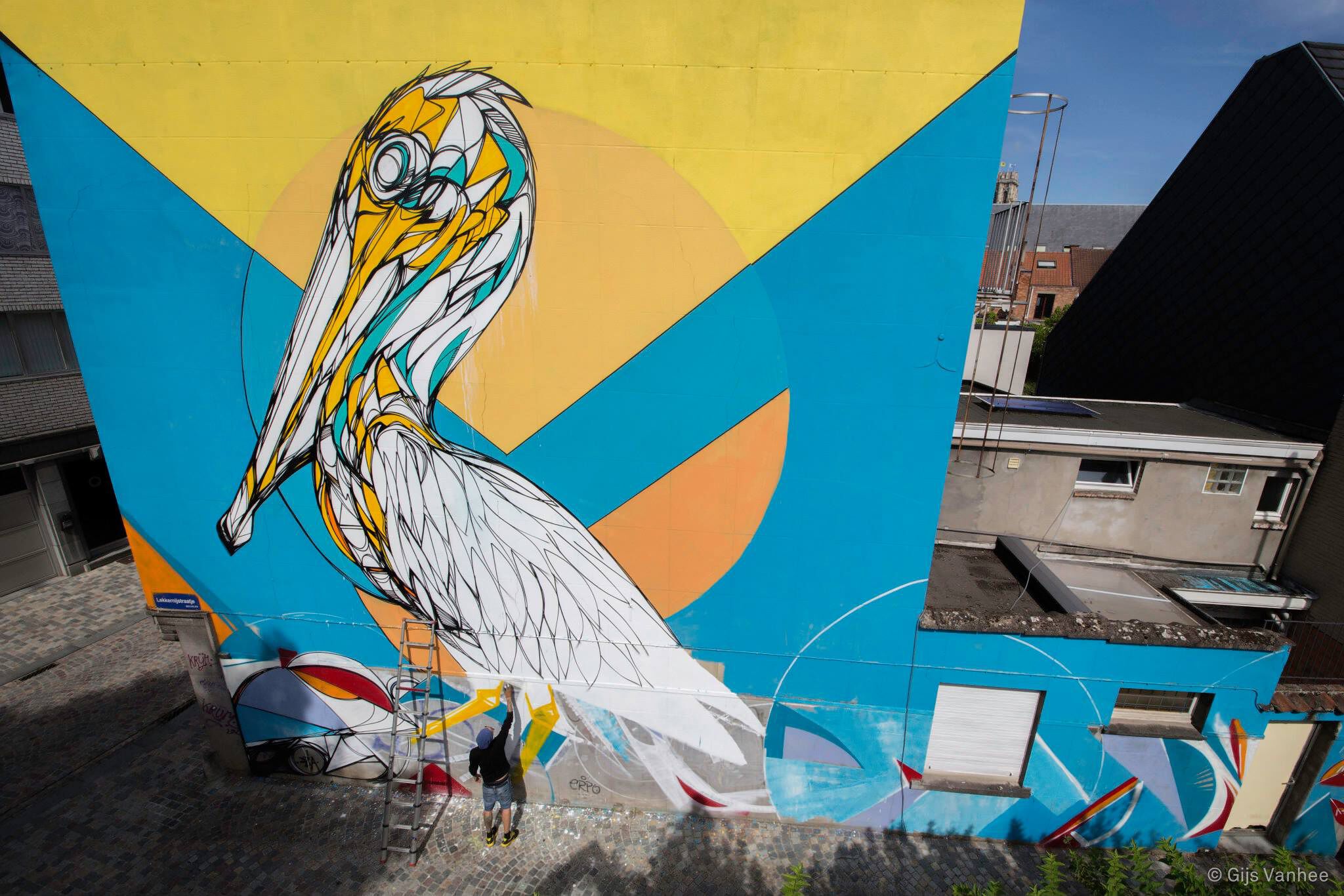 Dzia&mdash;The Pelican