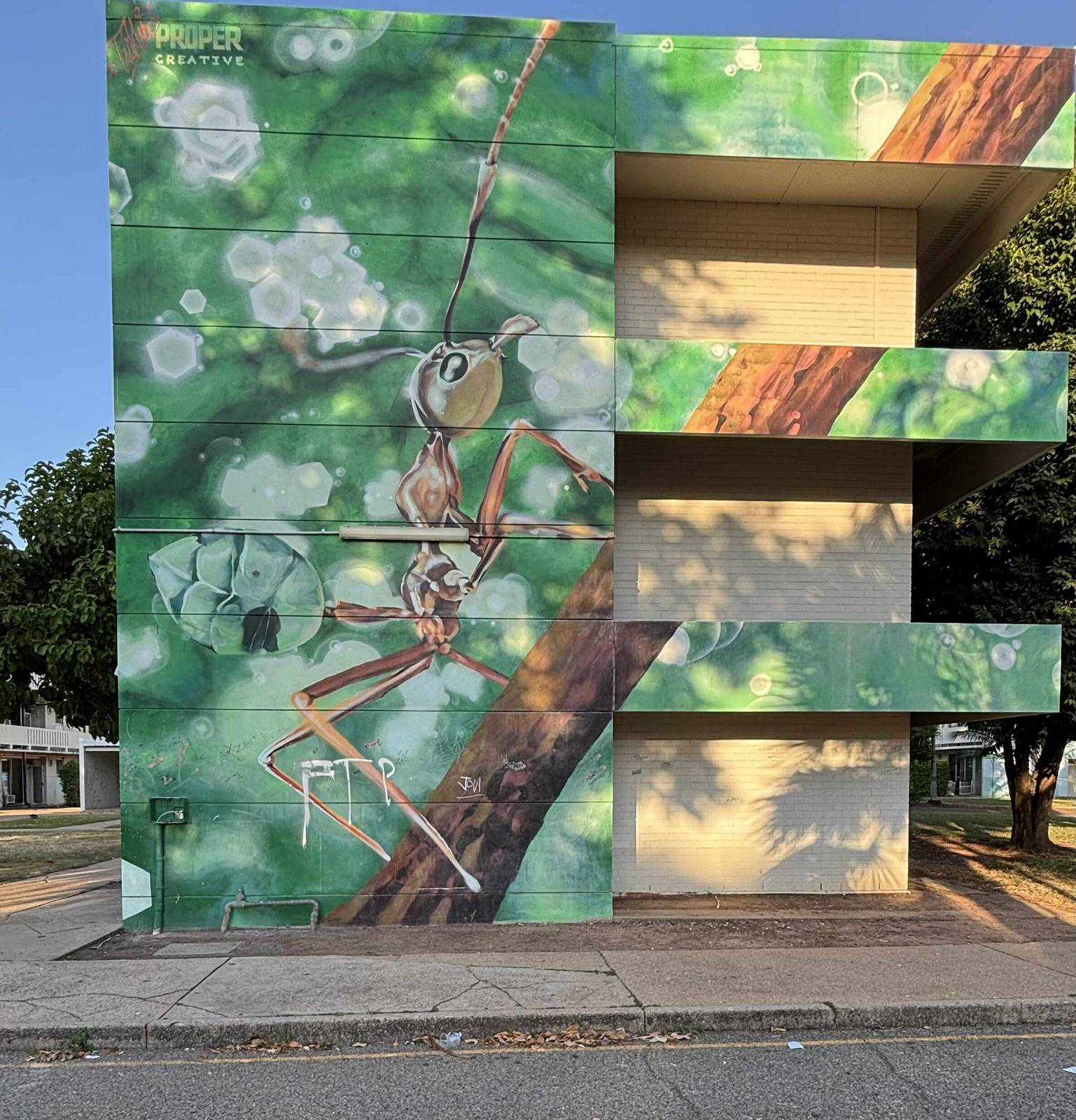 David Collins&mdash;Green Ant