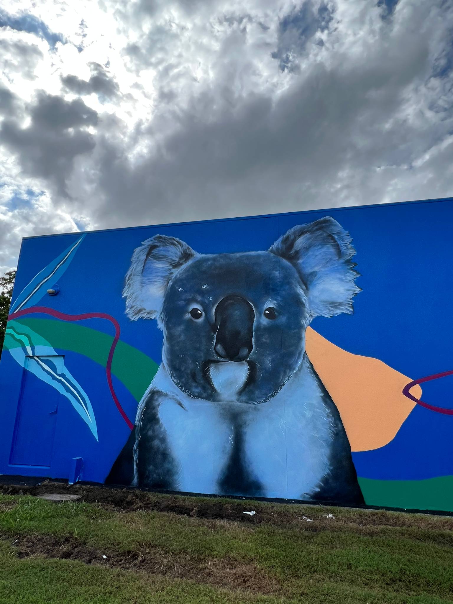 Drule&mdash;Koala Blues
