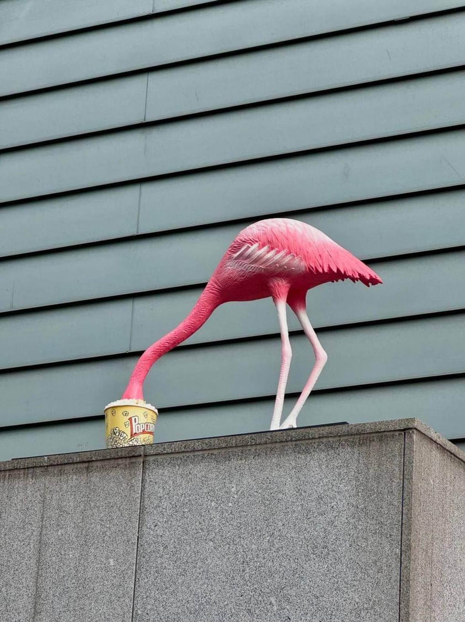 Frankey&mdash;Flamincorn