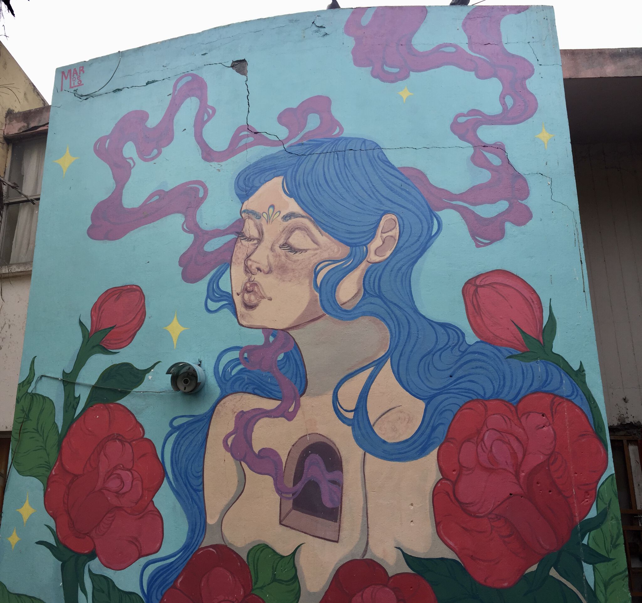 Mar de lío&mdash;Del rosal al cielo