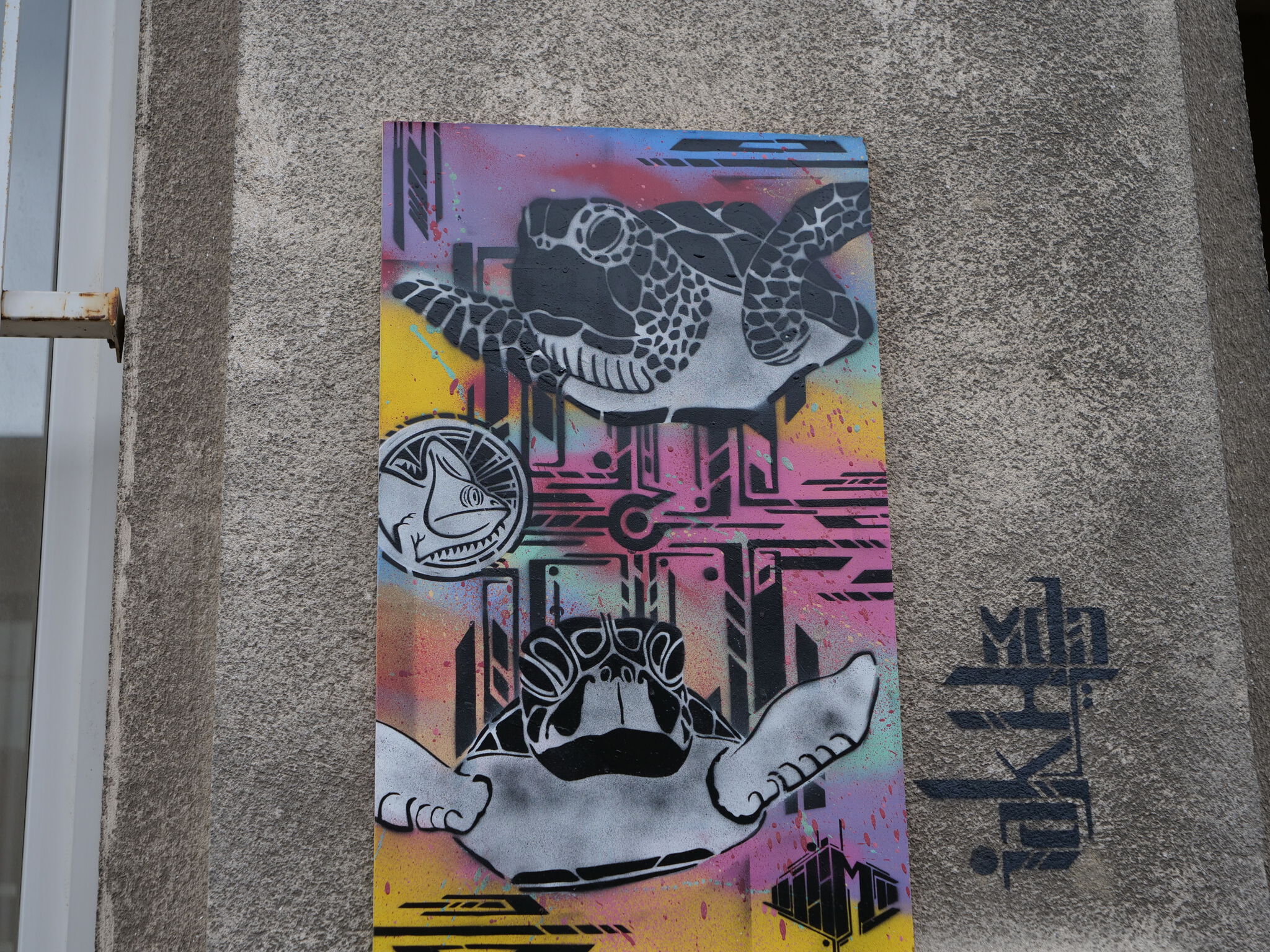 Iakhmann&mdash;Tortues