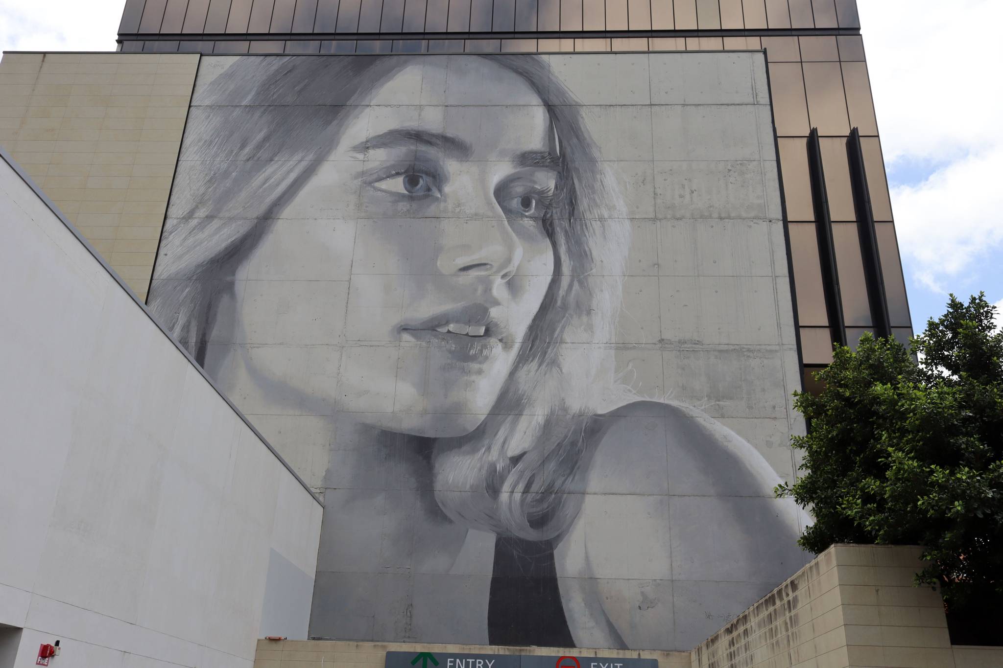 Rone&mdash;Hibernian Place Muse