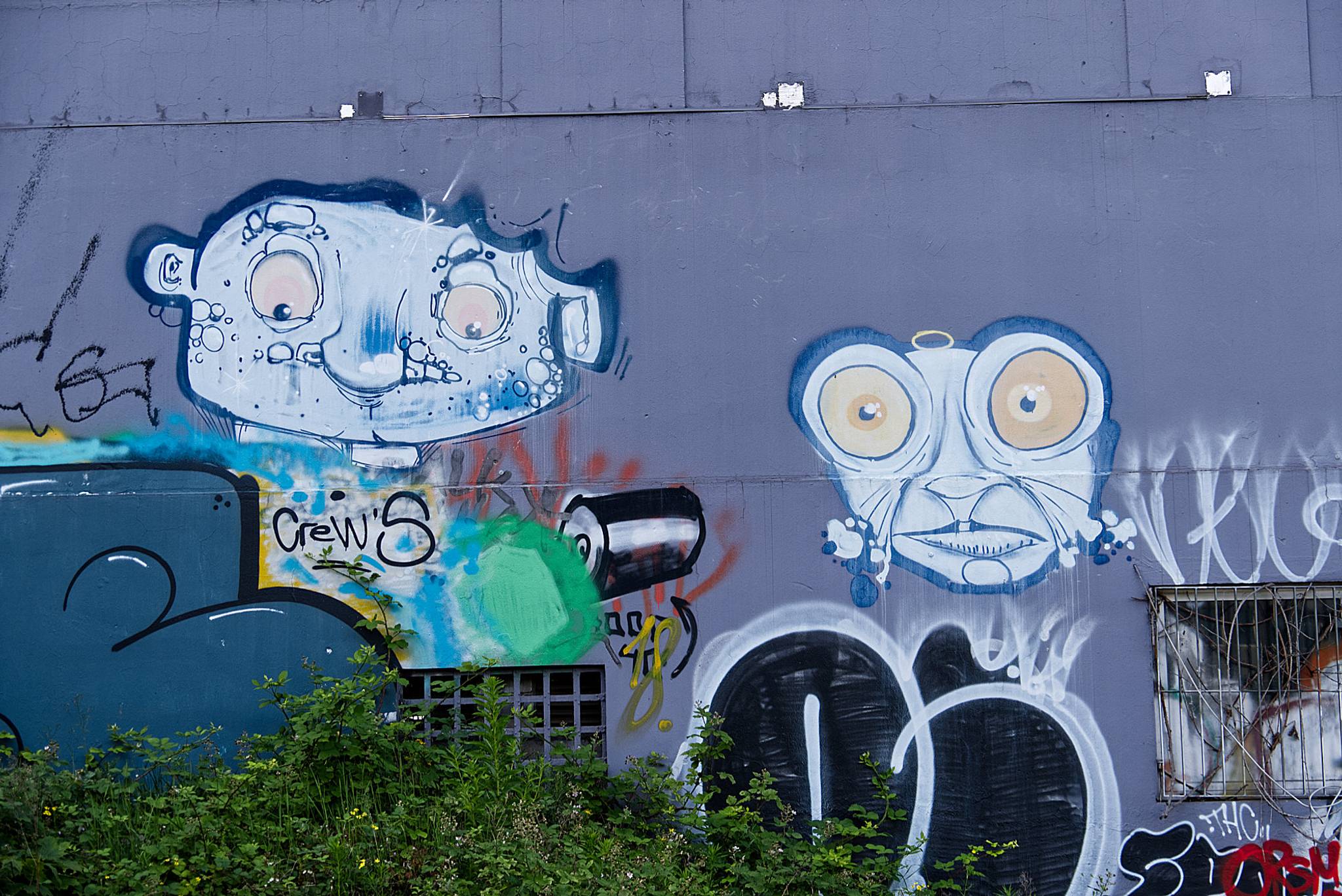 BLUE HEADS&mdash;Blue heads