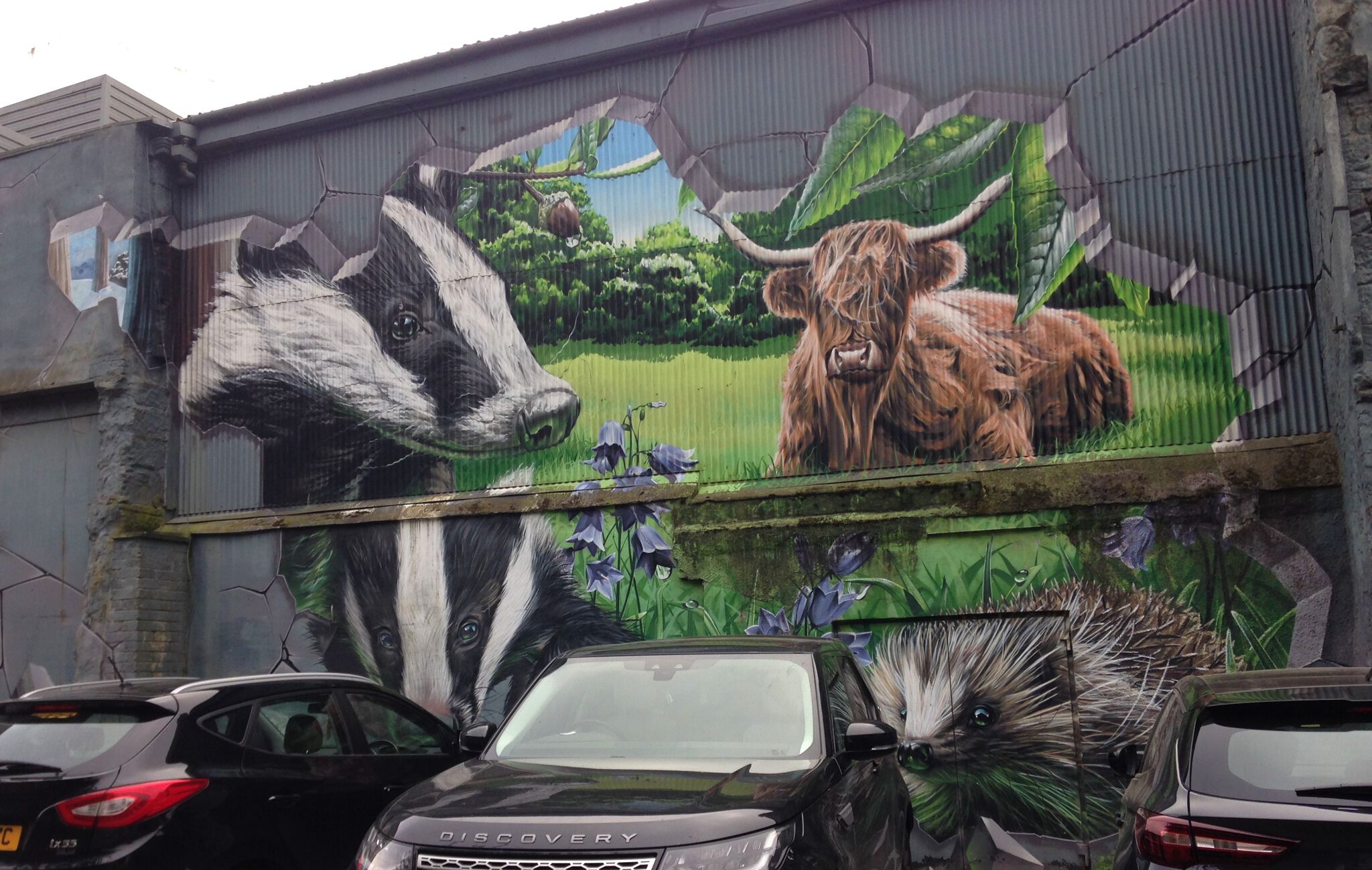 Smug&mdash;Fellow Glasgow Residents
