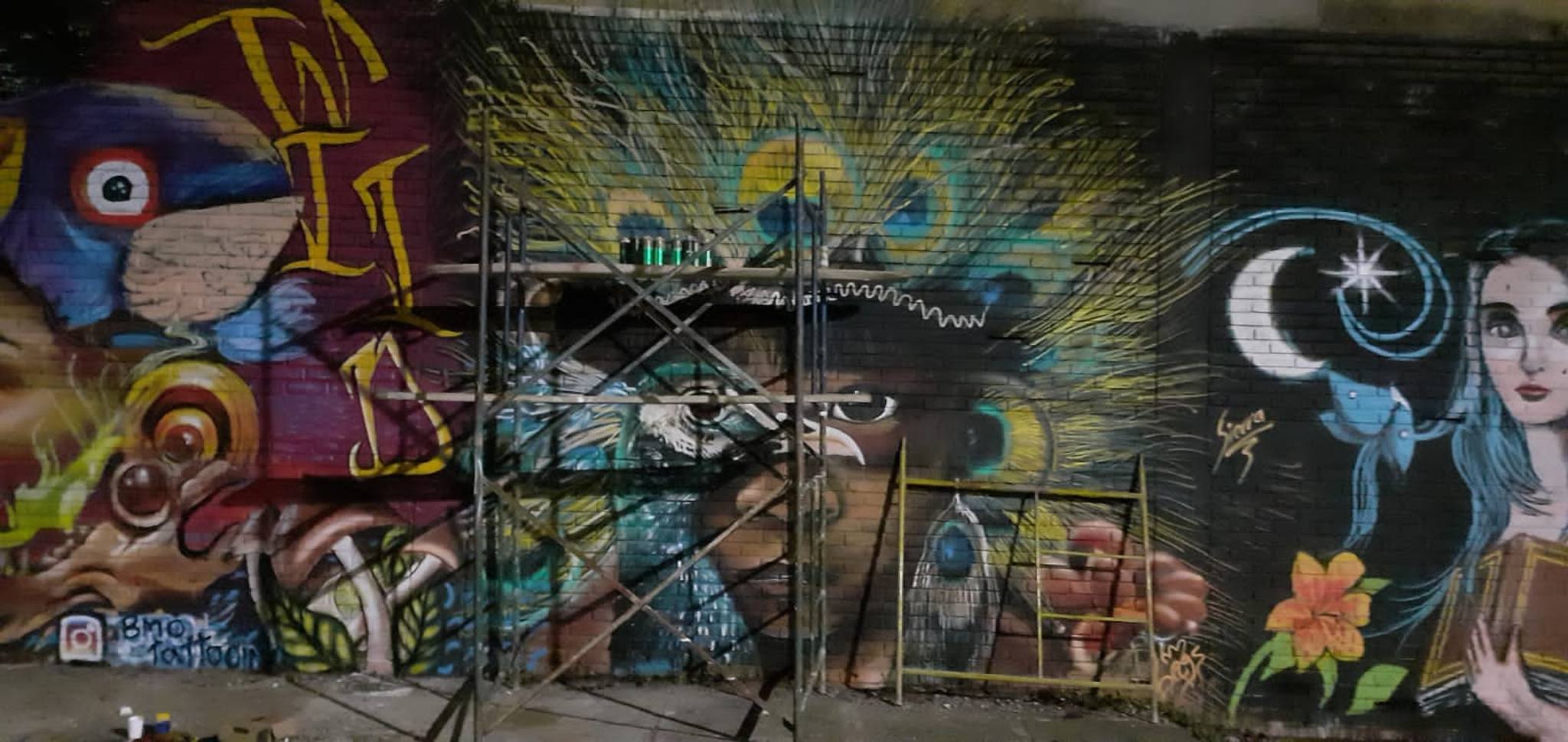 Táriba, Vicdarina, Esquema Colectivo&mdash;Rostro Indígena