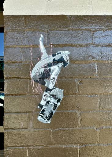 Skaters