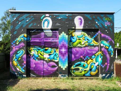 Roodborstjesstraat #1