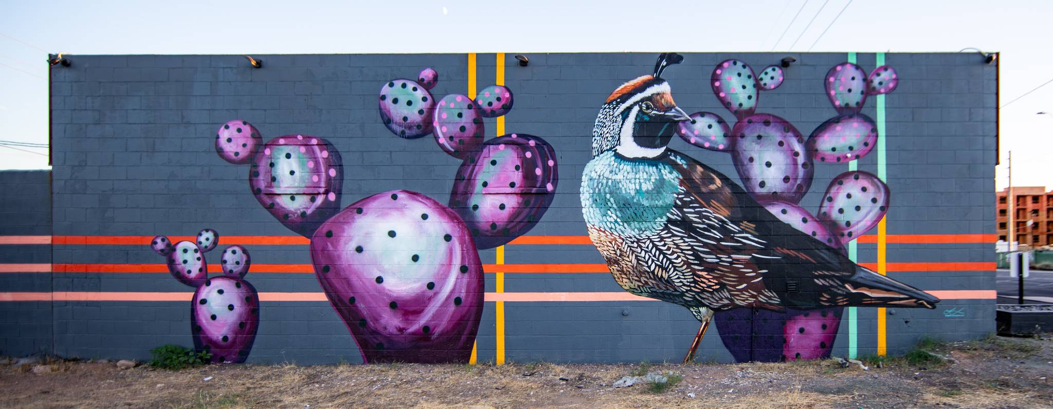 Lauren Lee&mdash;Quails in Contrast