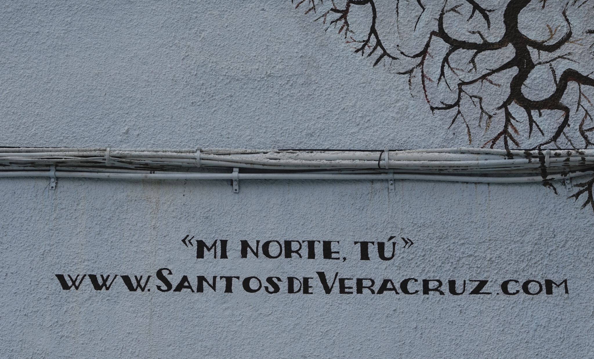Santos de Veracruz&mdash;My North You