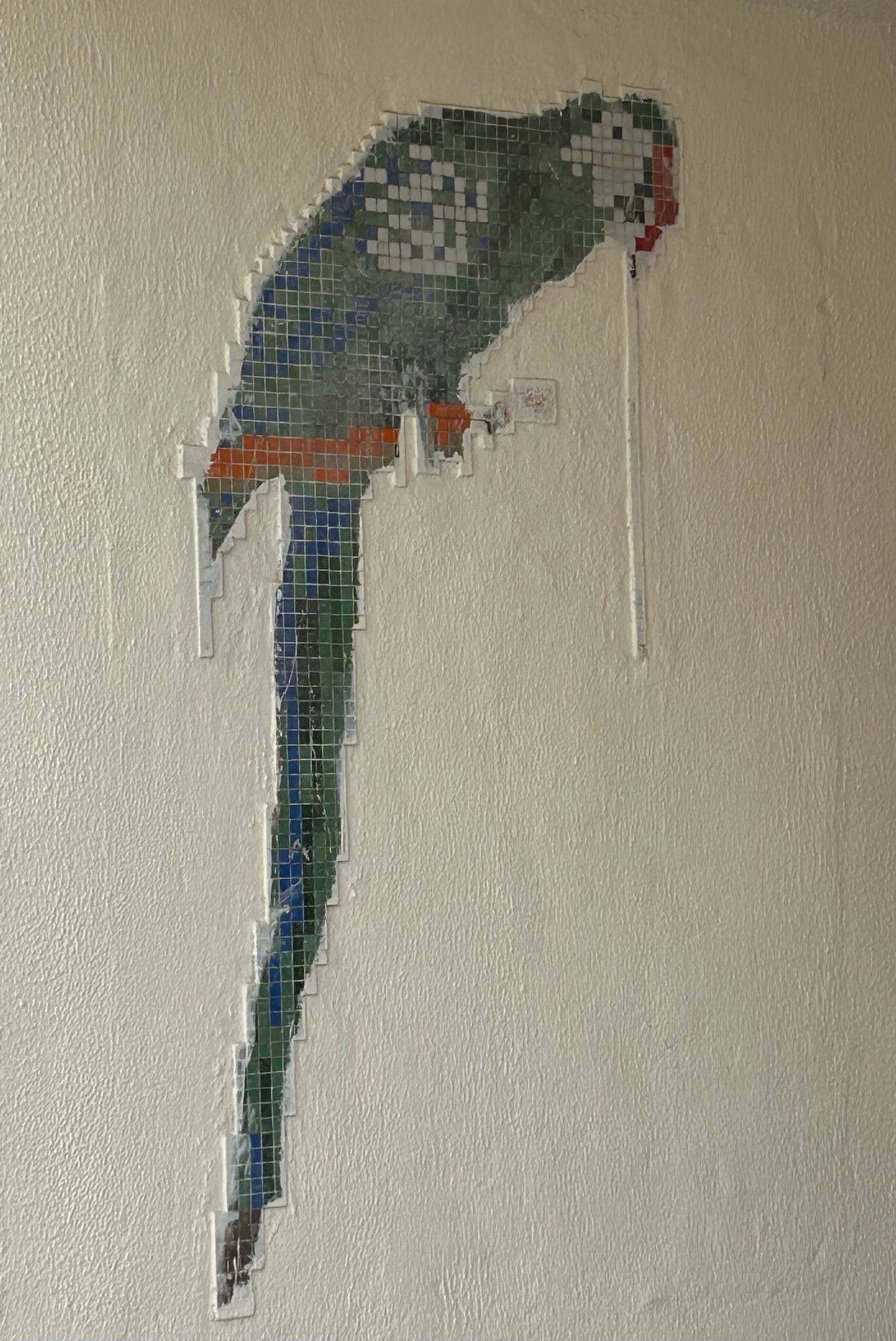 Unknown - Amman&mdash;Parrot