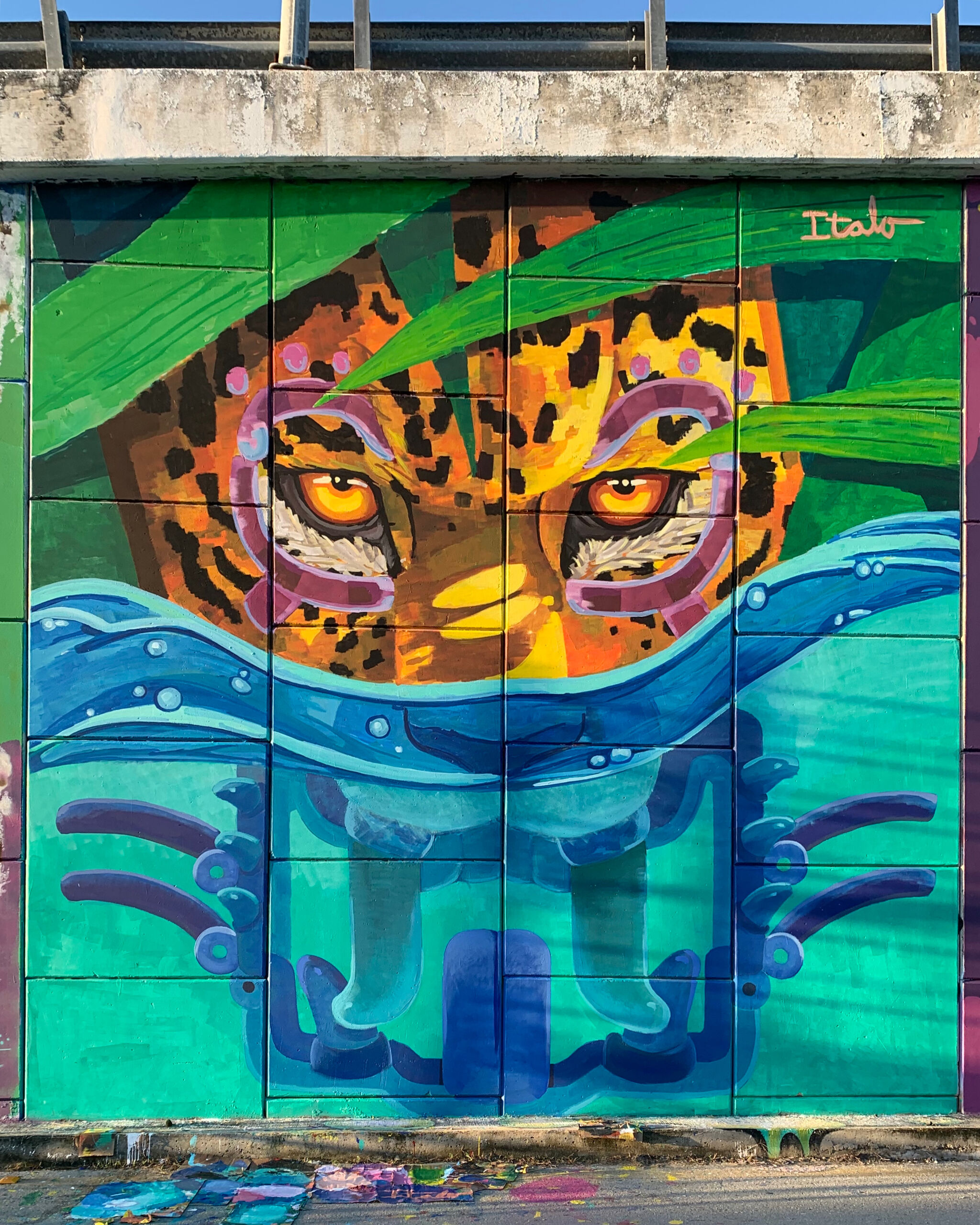 Italo&mdash;Jaguar
