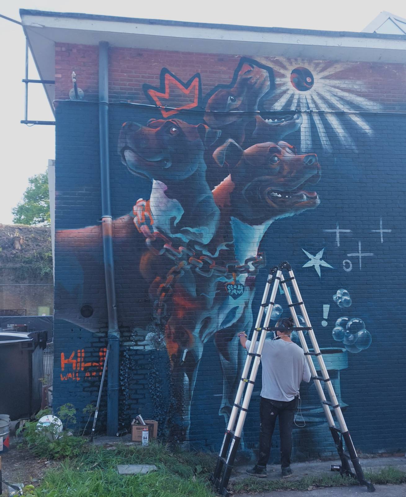 KIWI Wall Art&mdash;undefined
