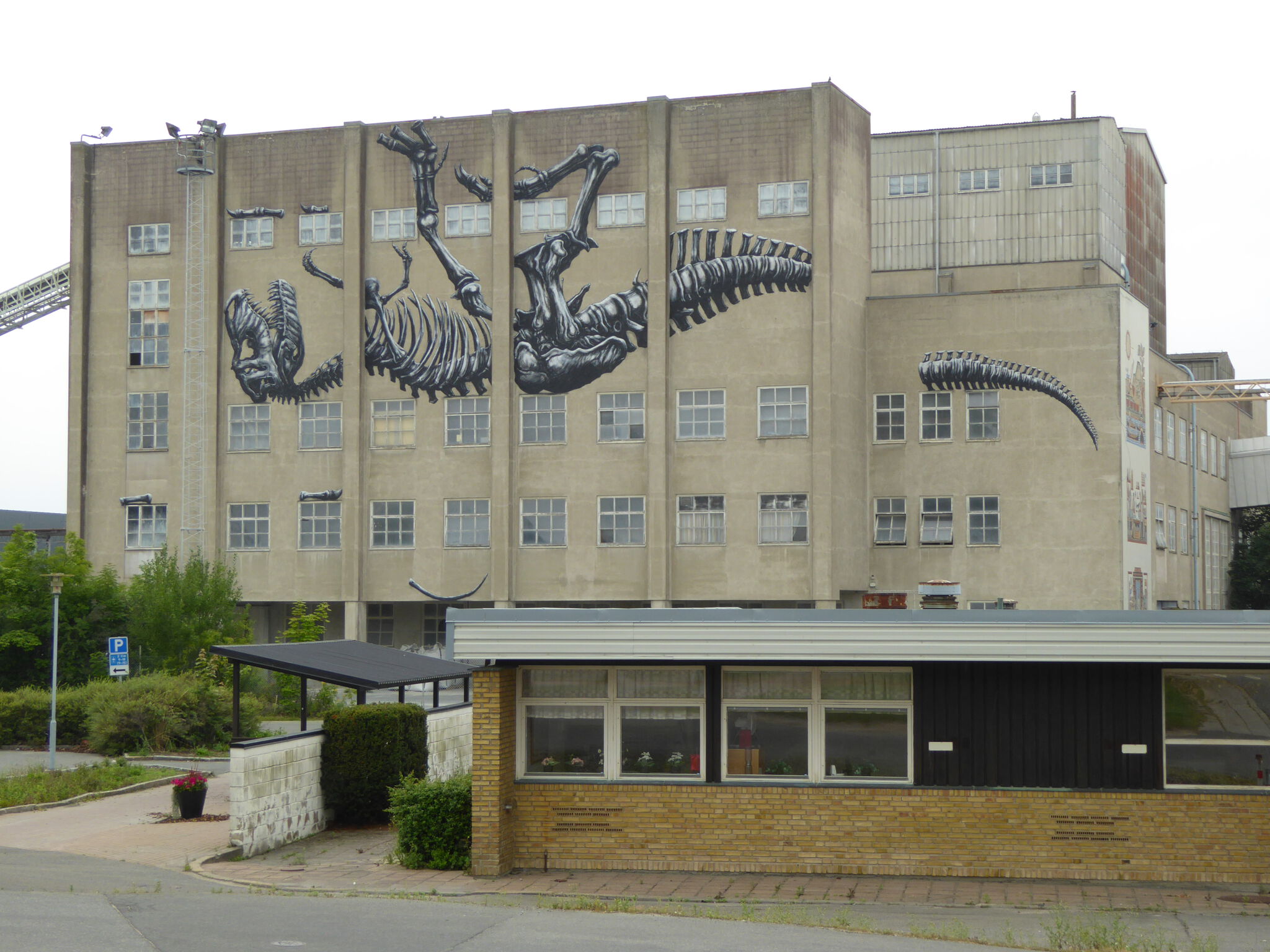 Roa&mdash;Dinosaur