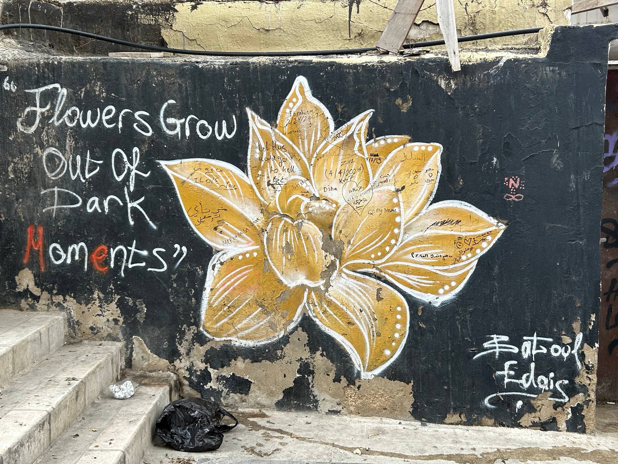 Batool Edais&mdash;Flowers Grow out of Dark Moments