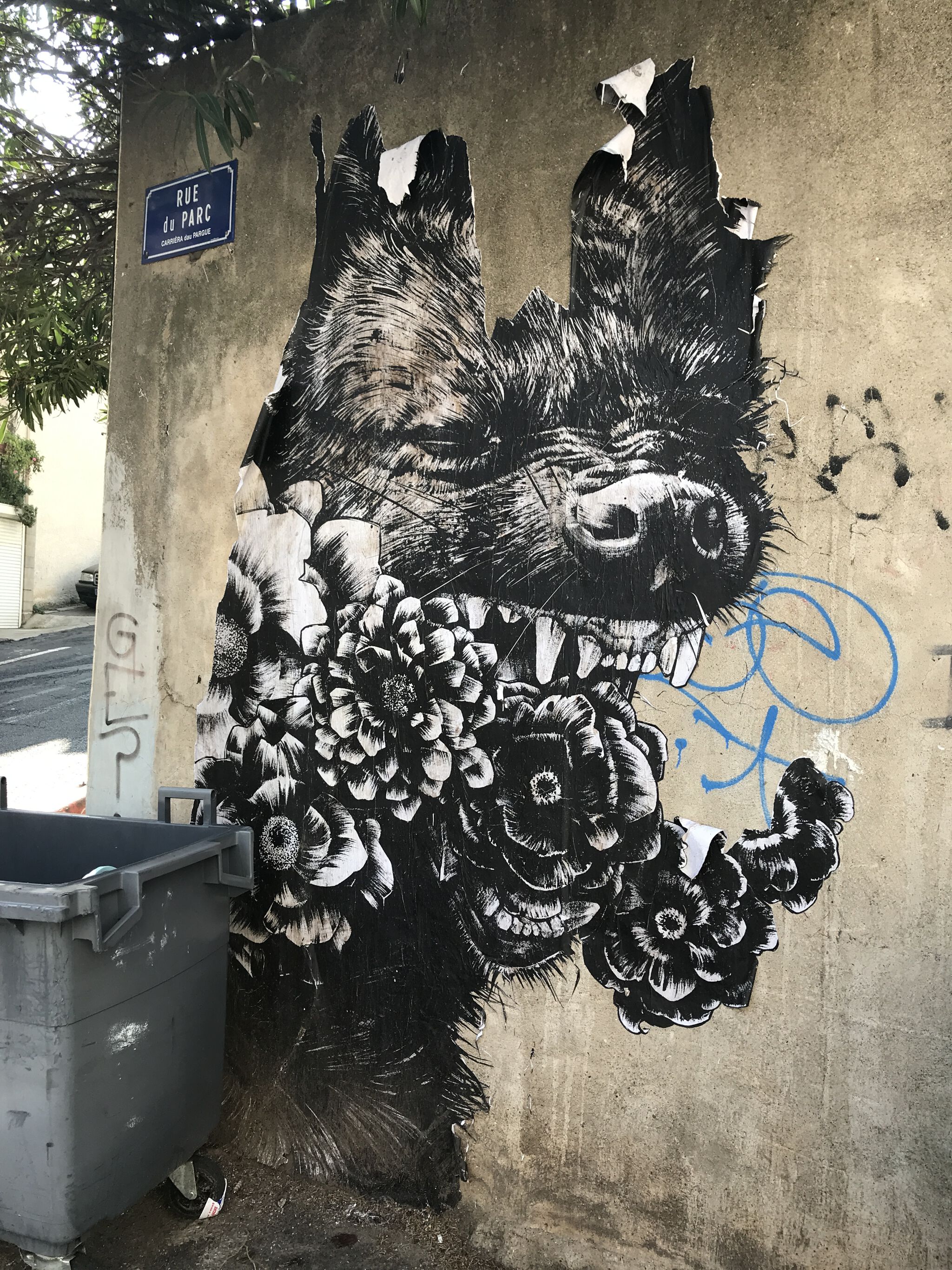 Monsieur Qui&mdash;Mr Qui dog