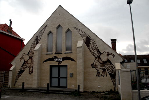 Albatros