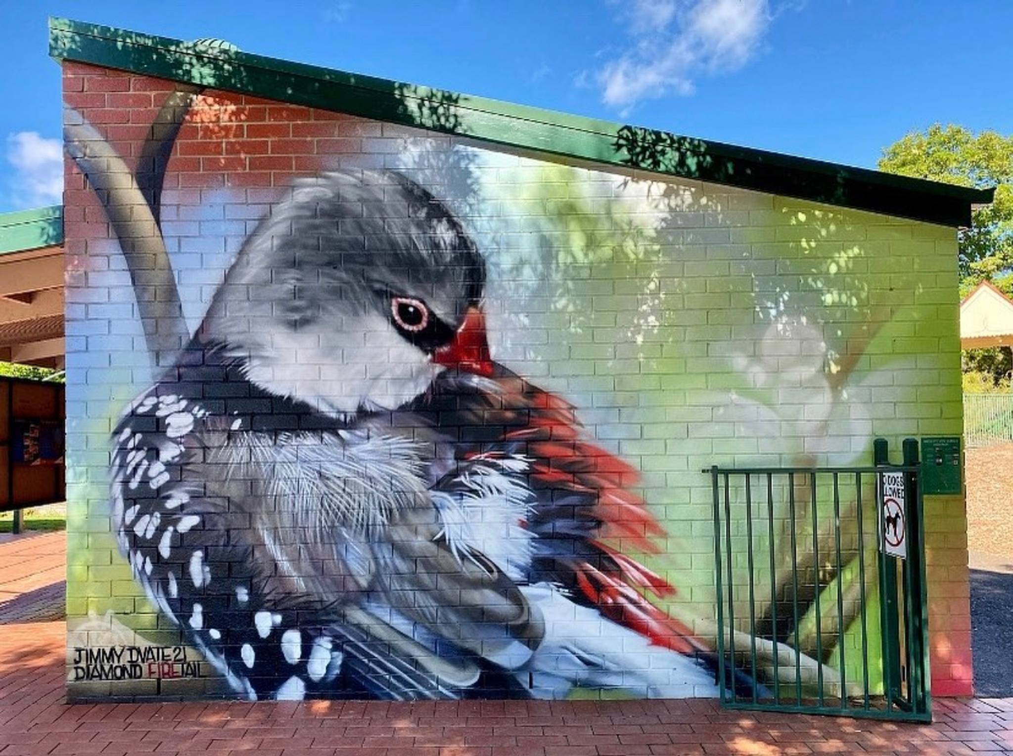 Dvate&mdash;Diamond Firetail