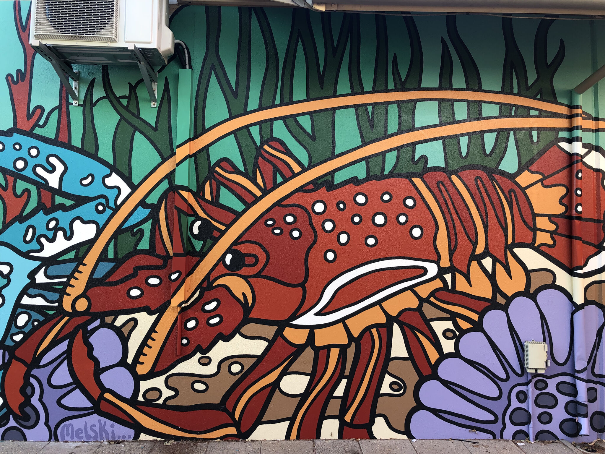 Mel McVee&mdash;Mandurah Cruises