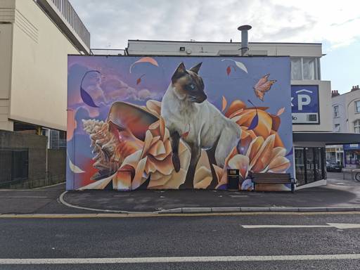 Cheltenham Cat