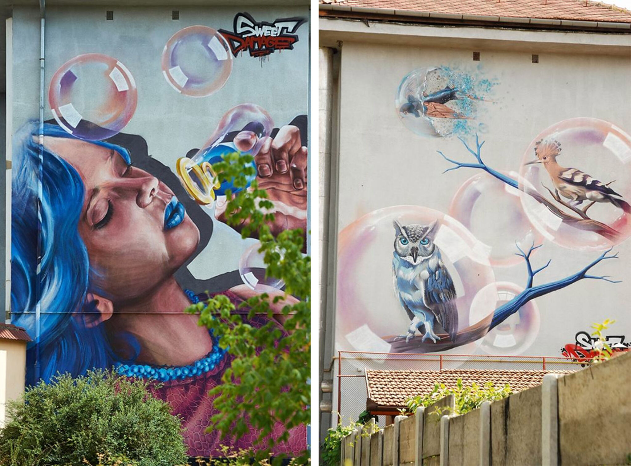 Sweet Damage Crew&mdash;Evolution