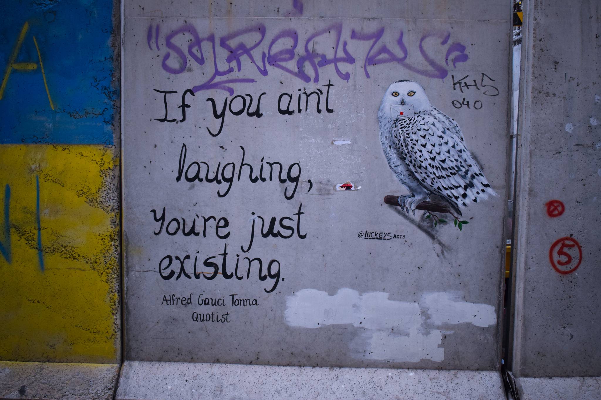 Luckeys Arts&mdash;Hedwig