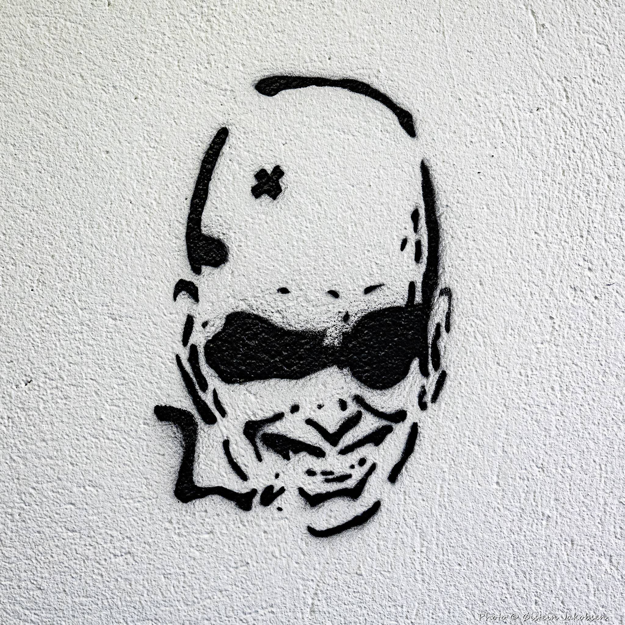 &mdash;Slåtthaug Vgs - The Project