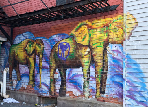Peaceful Yellow Elephants