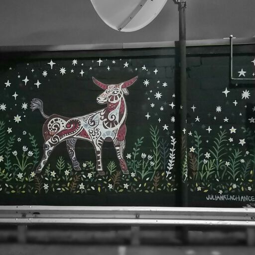 Magical Night