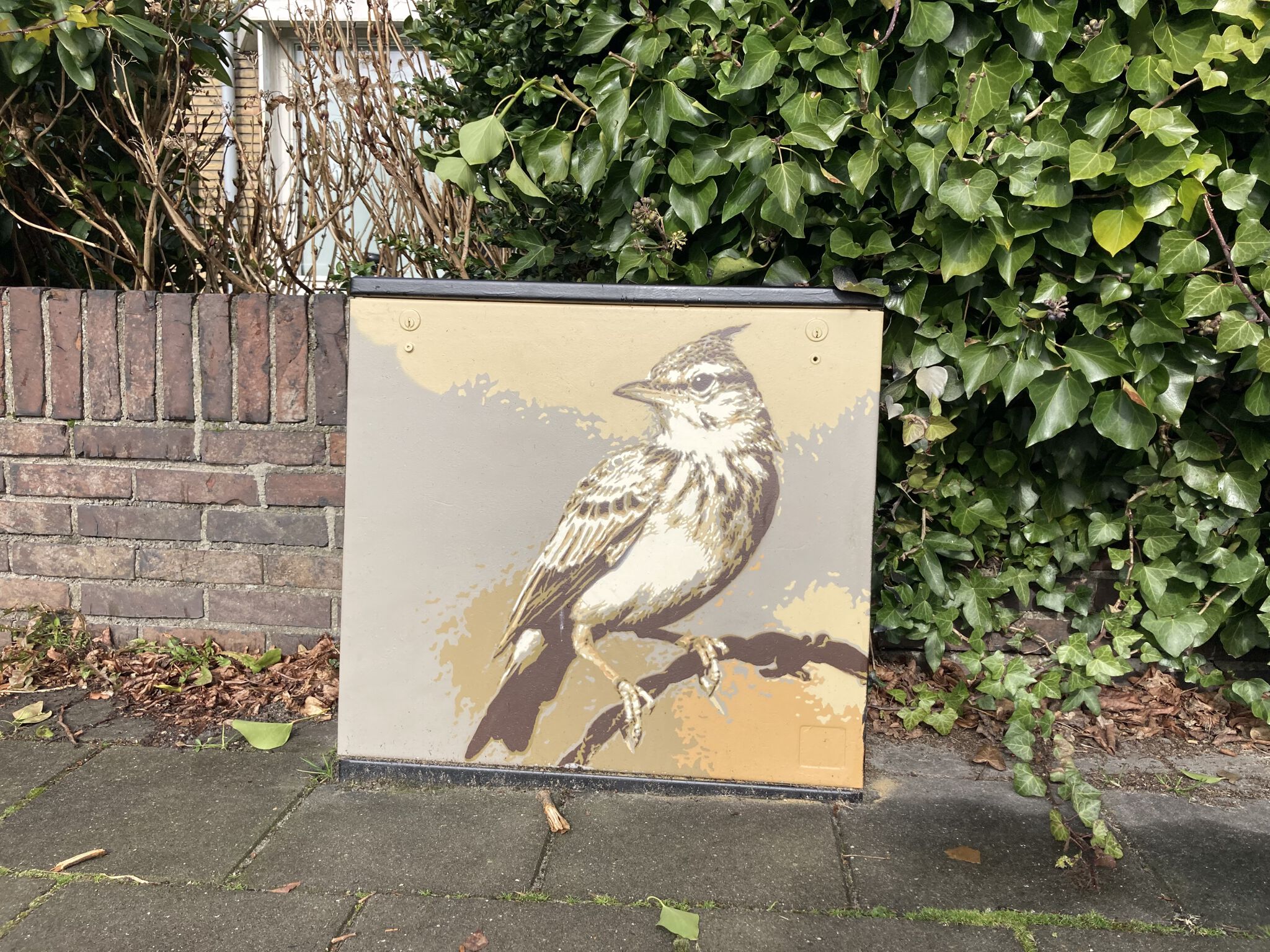 Roy Schreuder&mdash;Leeuwerik