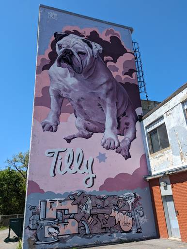Tilly Dog