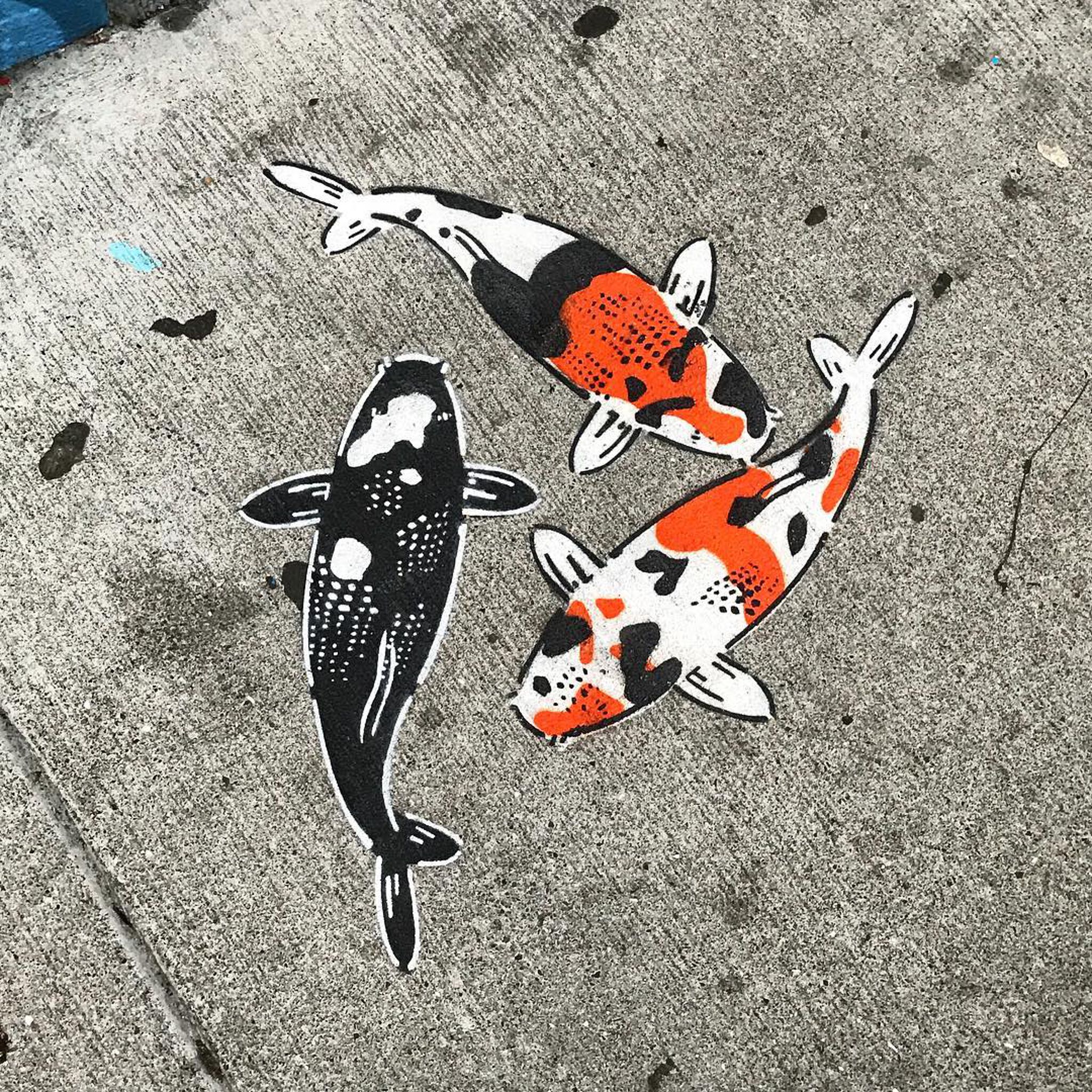 Jeremy Novy&mdash;Koi