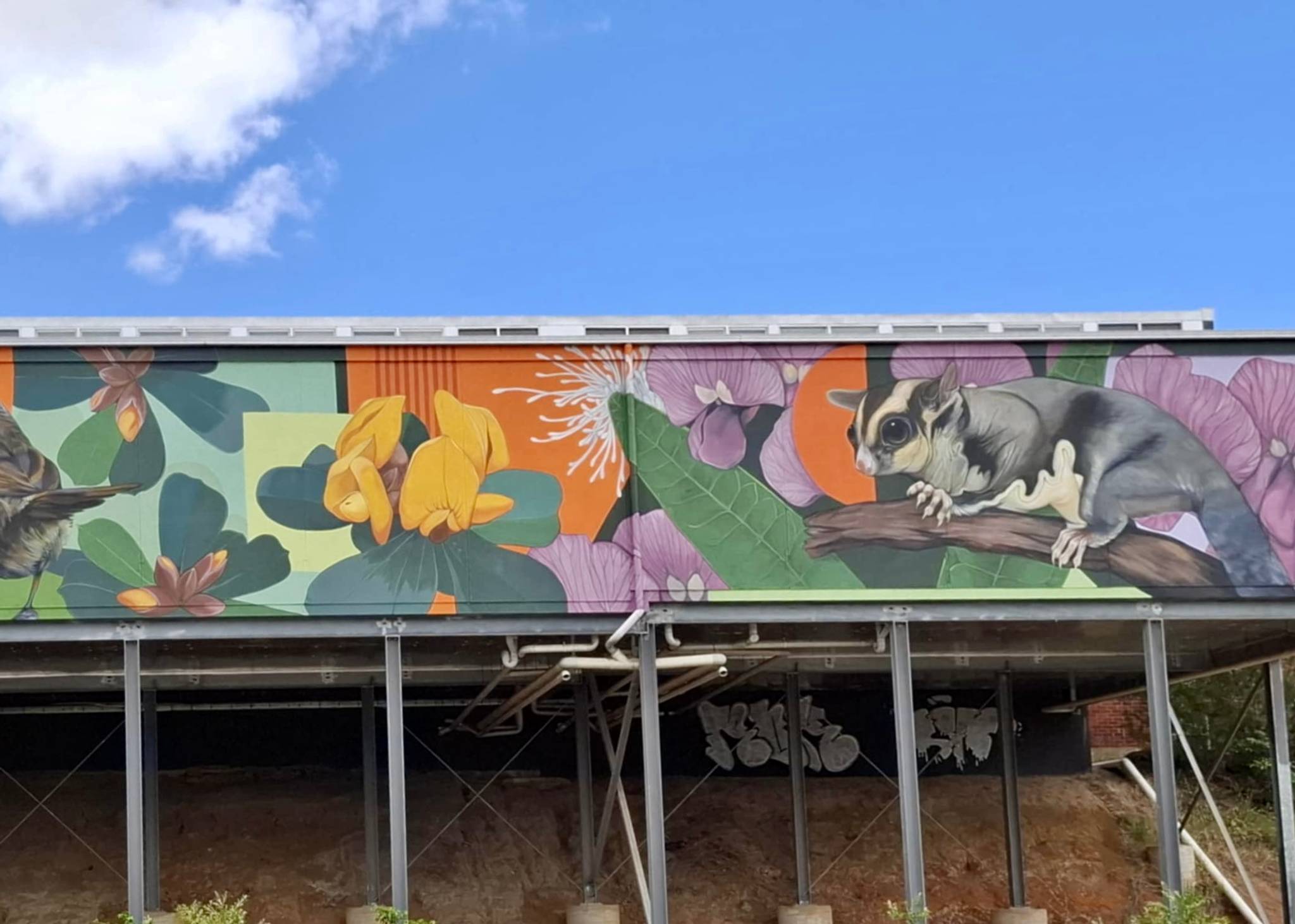 Ash Taylor&mdash;Leongatha and its Landscape