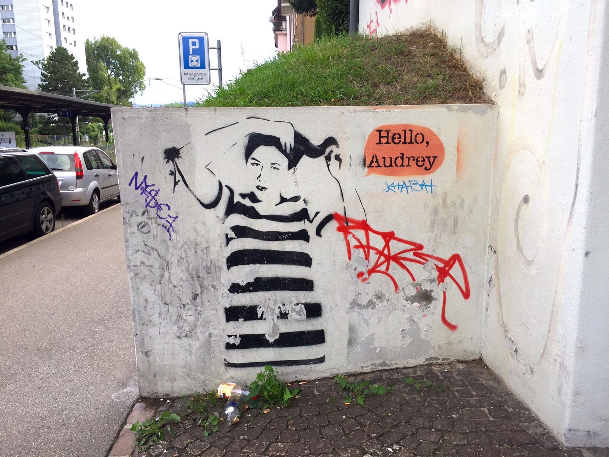 Unknown - Zürich&mdash;Hello Audrey