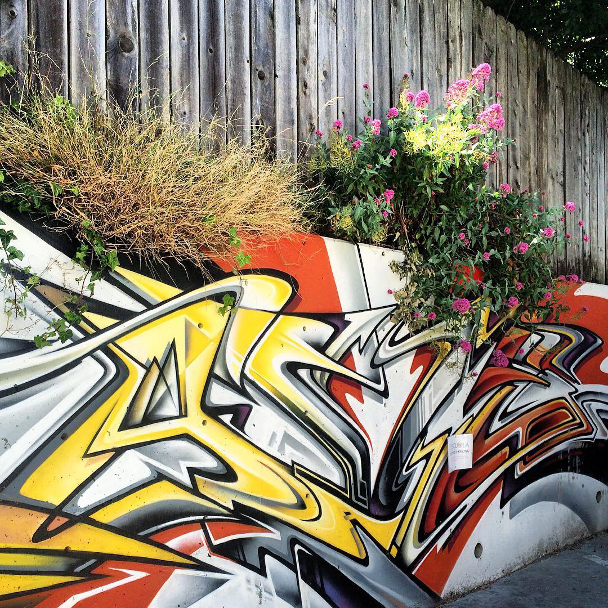 Unknown - San Francisco&mdash;Tag