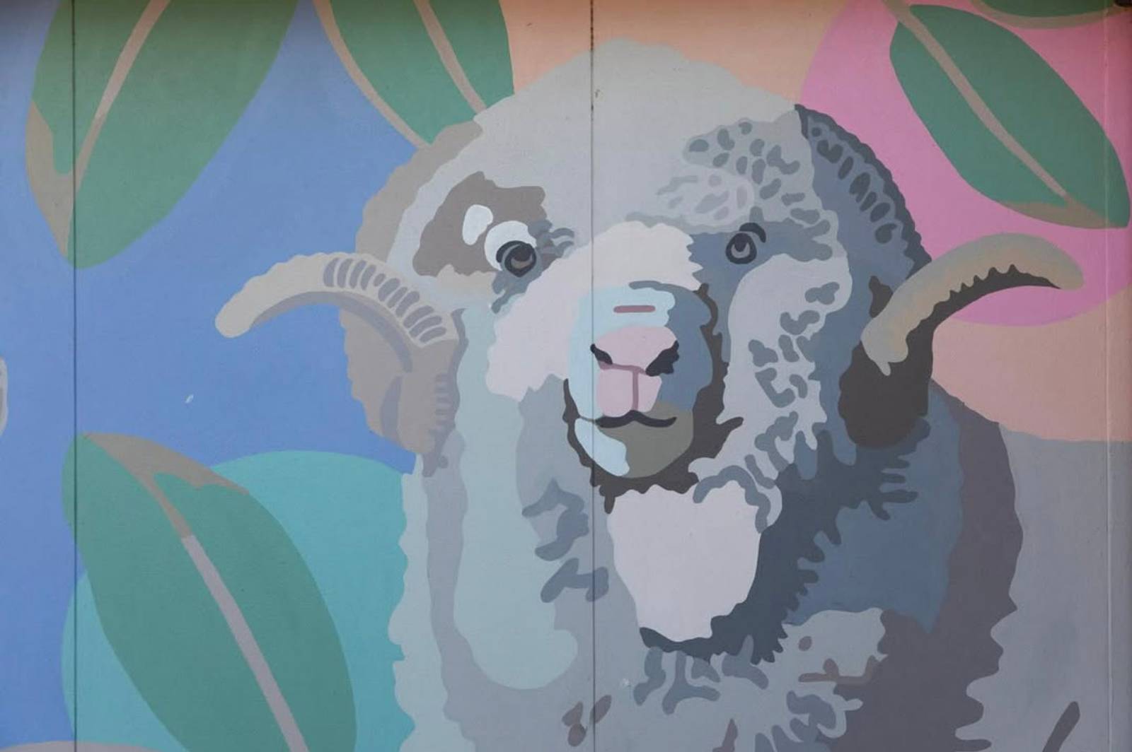 Ella Simpson&mdash;Kangaroo Island Veterinary Clinic